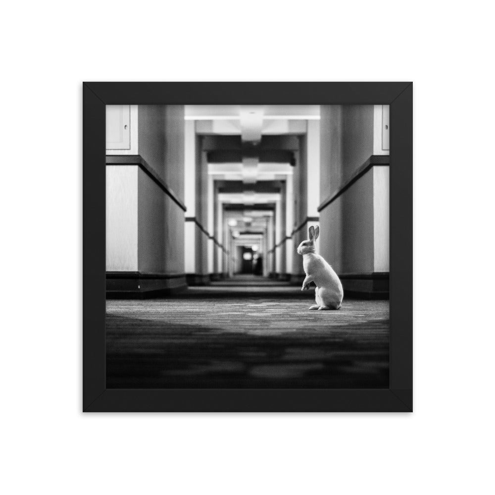 Follow the White Rabbit (Framed Print)