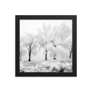 Pom Poms (Framed Print)