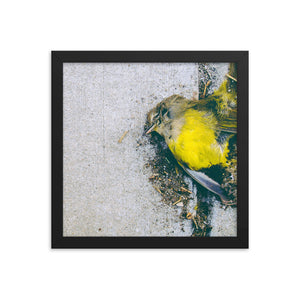 Yellow (Framed Print)