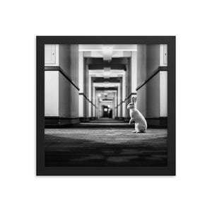 Follow the White Rabbit (Framed Print)