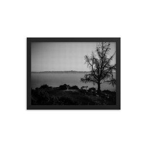 Lonely Bench (Framed Print)