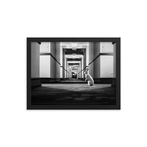 Follow the White Rabbit (Framed Print)