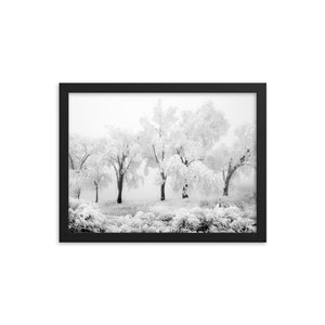 Pom Poms (Framed Print)