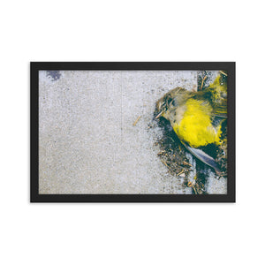 Yellow (Framed Print)
