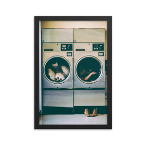Spin Cycle (Framed Print)