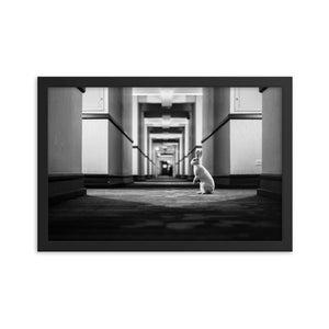 Follow the White Rabbit (Framed Print)