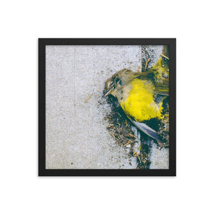 Yellow (Framed Print)