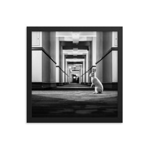 Follow the White Rabbit (Framed Print)
