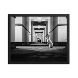 Follow the White Rabbit (Framed Print)