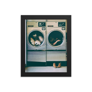 Spin Cycle (Framed Print)