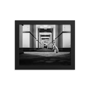 Follow the White Rabbit (Framed Print)