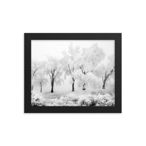 Pom Poms (Framed Print)