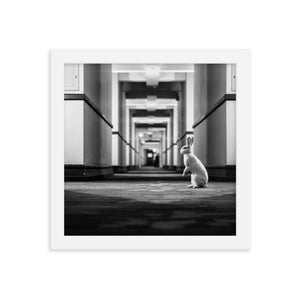 Follow the White Rabbit (Framed Print)