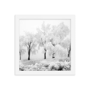 Pom Poms (Framed Print)