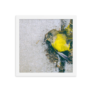 Yellow (Framed Print)