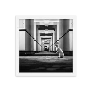 Follow the White Rabbit (Framed Print)
