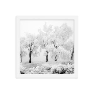 Pom Poms (Framed Print)