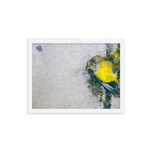 Yellow (Framed Print)