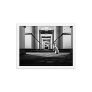 Follow the White Rabbit (Framed Print)
