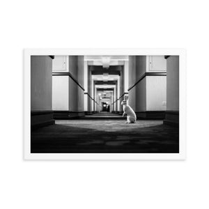 Follow the White Rabbit (Framed Print)