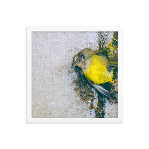 Yellow (Framed Print)