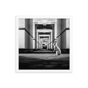 Follow the White Rabbit (Framed Print)