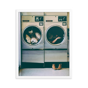 Spin Cycle (Framed Print)