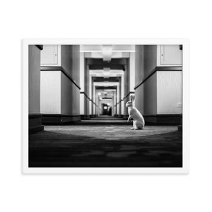 Follow the White Rabbit (Framed Print)