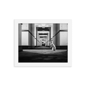 Follow the White Rabbit (Framed Print)