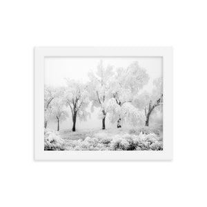 Pom Poms (Framed Print)